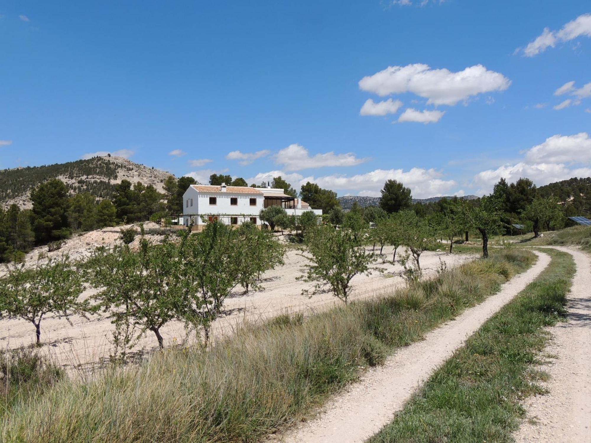 Cortijo Blanco Apartment Velez Blanco Exterior photo