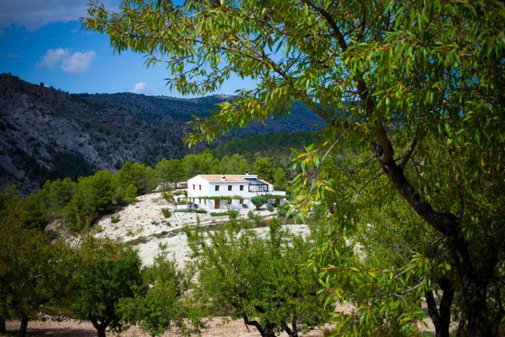 Cortijo Blanco Apartment Velez Blanco Exterior photo